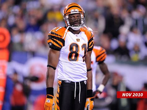 Terrell Owens Gunning For NFL Comeback At 47 Years Old, 'I'm Not Washed Up'