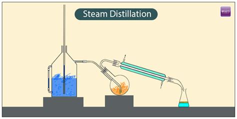 Steam Distillation - Principle | Essential Oils | Applications