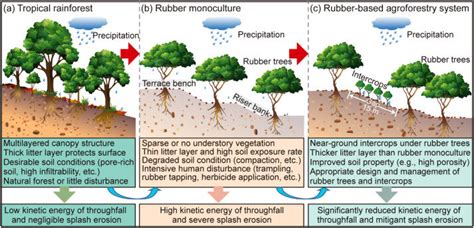 Controlling soil splash erosion may benefit sustainable development of ...