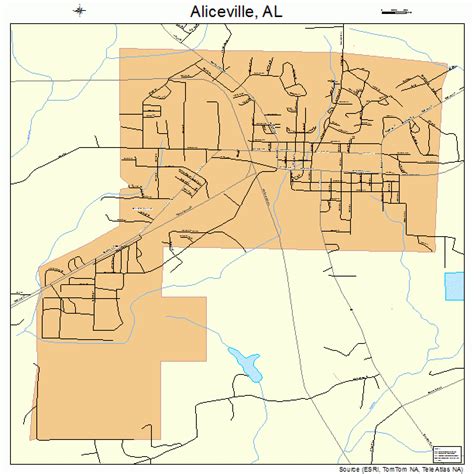 Aliceville Alabama Street Map 0101228