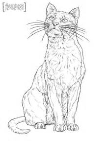 Bay Cat coloring page | Free Printable Coloring Pages