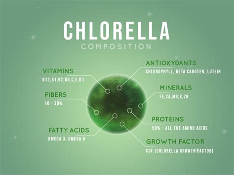 Chlorella : Detailed Composition