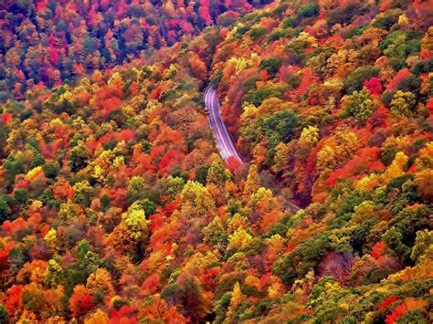 West Virginia--fall foliage | Virginia fall, West virginia, Scenic