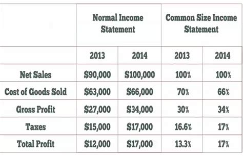 Common Size Income Statement - Video | Investopedia