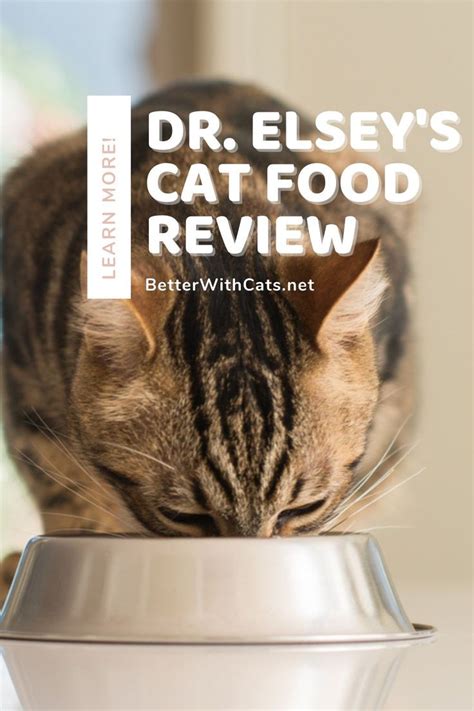 Dr. Elsey's Clean Protein Cat Food Review (October 2020) | Cat food, Cat food reviews, Cat nutrition