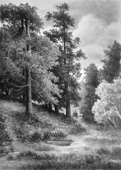 Forest way drawing pencil art 21x30 by yilmazgunes93 on DeviantArt