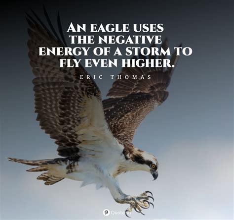 60+ Eagle Quotes And Sayings - QUOTEISH