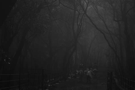 FOGGY DAY... on Behance