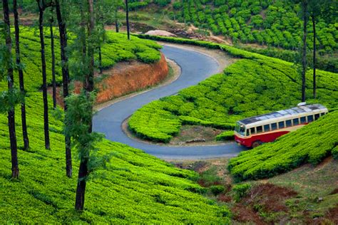 Nice tourist places in Munnar Idukki - aalmaramspot