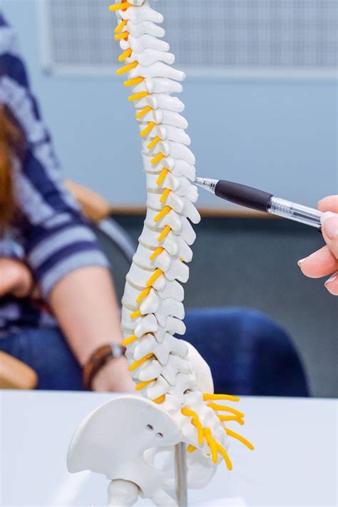 Spinal Adjustment | Spinal, Manipulation techniques, Chiropractors