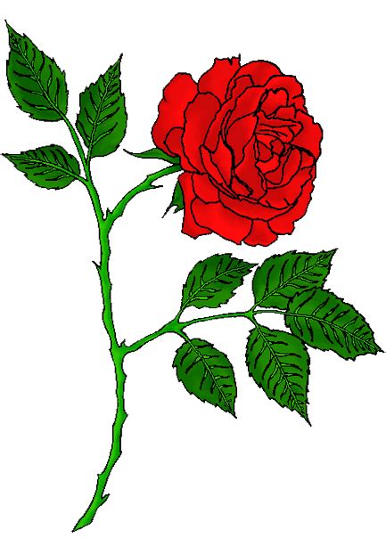 picsart hd rose png - Clip Art Library