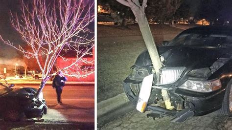 Woman drives through Illinois despite 15-foot tree stuck in car's ...