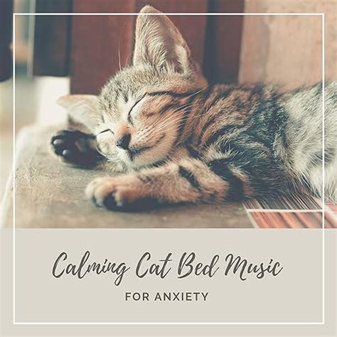 Calming Cat Bed Music for Anxiety by Anxiety Relief on Amazon Music ...