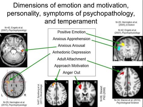 Cognitive & Affective Neuroscience of Psychopathology Lab | Neuroscience Program | UIUC