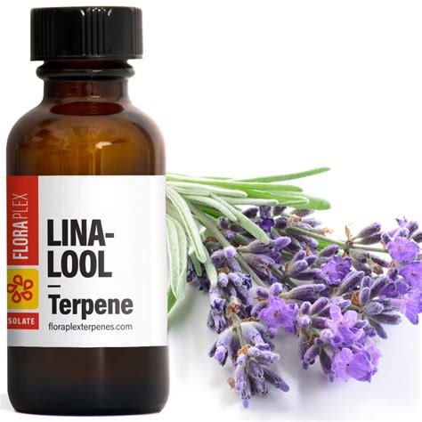 Buy Linalool | Buyterpenesonline.com