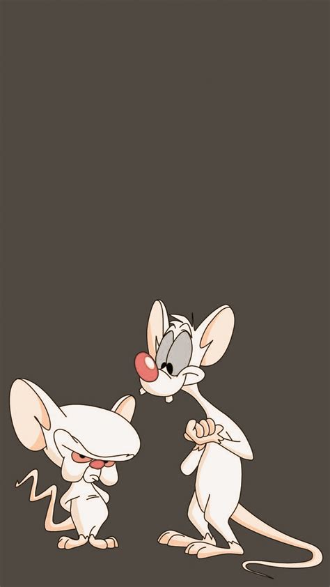 Pinky And The Brain Wallpaper