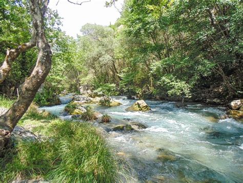 Alpheus River Archives — Greek City Times