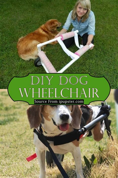 DIY Dog Wheelchair Plans & Tutorials for Mobility-Challenged Dogs