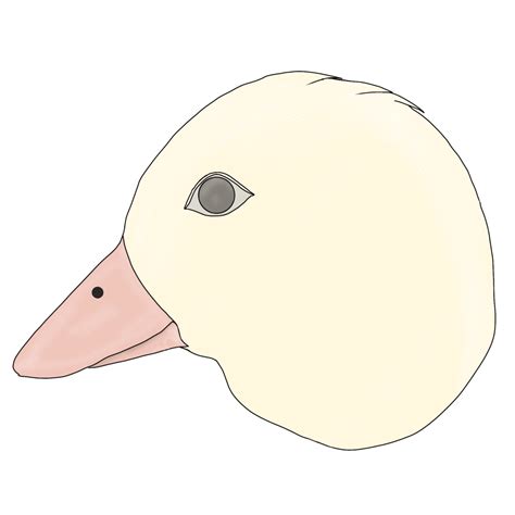 Duck Head, Duck, Head, Food PNG Transparent Clipart Image and PSD File for Free Download