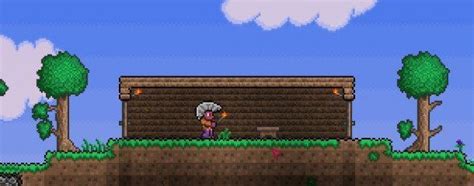 Terraria beginner's guide | PC Gamer