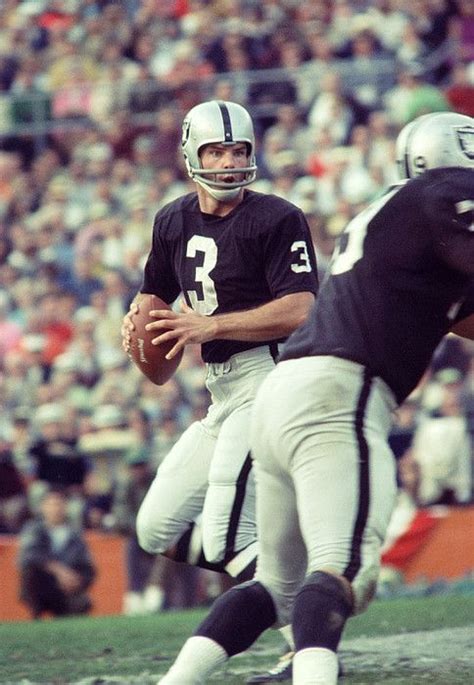 Daryle Lamonica Drops Back by Retro Images Archive | American football league, Nfl football ...