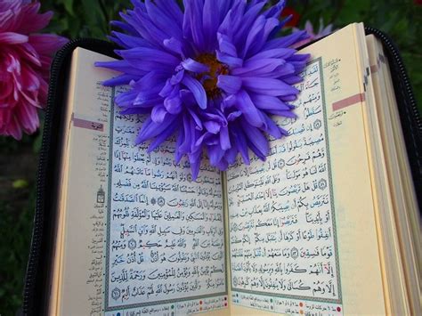 Ijazah in Reading the Poem of Al-Jazariyyah – Online Quran Teachers