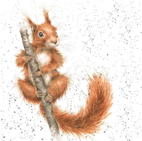 squirrel wrendale Animal Paintings, Animal Drawings, Art Drawings, Watercolor Animals ...