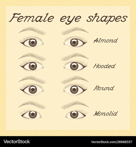 Eye shapes and types various female Royalty Free Vector