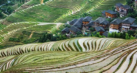 Longsheng Longji Rice Terraces - Guilin Attractions - China Top Trip