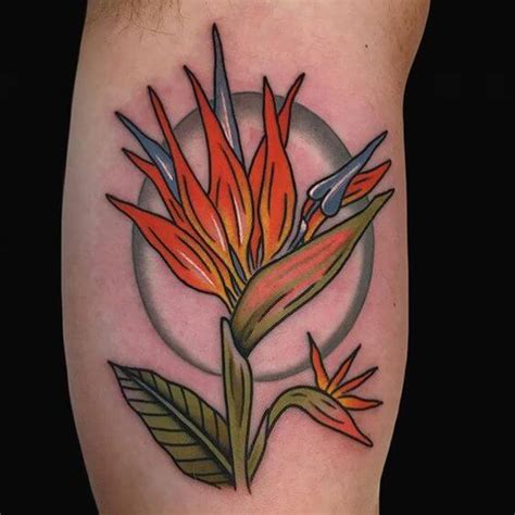 15+ Bird of Paradise Flower Tattoo Designs