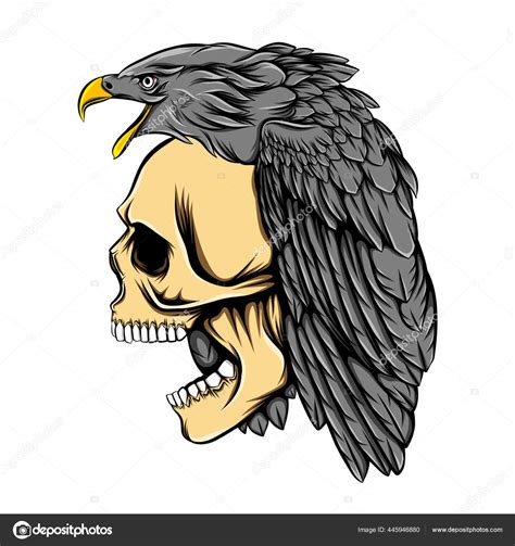 Eagle Skull Drawing