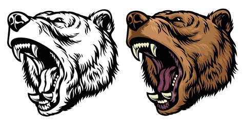 anggry roaring grizzly bear head 23091880 Vector Art at Vecteezy