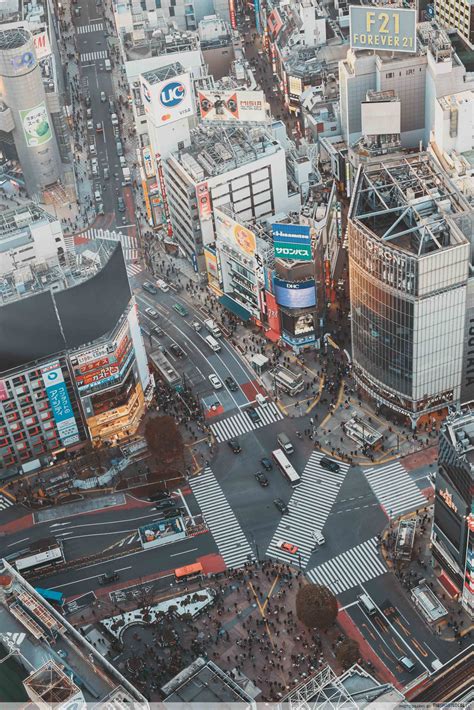 Shibuya Scramble Square: A Guide To Tokyo's Newest & Most Instagenic ...