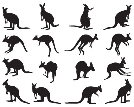 Kangaroo Silhouette Joey Kangaroo Aussie Vector, Joey, Kangaroo, Aussie PNG and Vector with ...