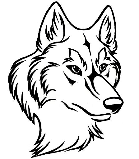 line art wolf head - Google Search | Wolf drawing, Wolf drawing easy, Wolf head drawing