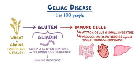 Celiac Disease Diet: What Is It, Foods are Eat, Foods to Avoid, and ...