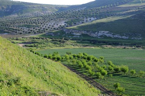 Landscape near Ain Dara (4) | Aleppo | Pictures | Syria in Global-Geography