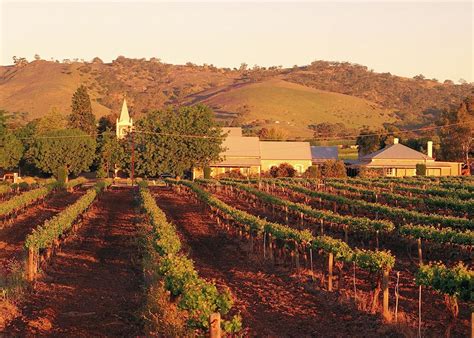 Visit Barossa Valley on a trip to Australia | Audley Travel US