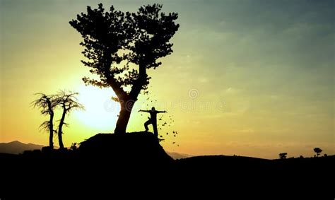 Nature and happiness stock photo. Image of life, dream - 64908648