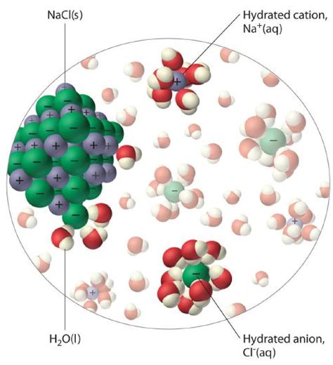 4.1: General Properties of Aqueous Solutions - Chemistry LibreTexts