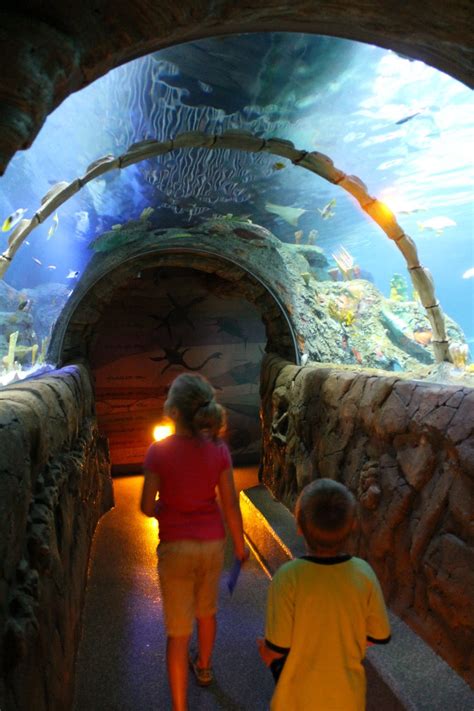 The Missouri Mom: Sea Life Aquarium Kansas City, MO