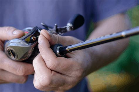 Baitcaster Vs Spinning Reel - Pros And Cons of Both | Fishing Command