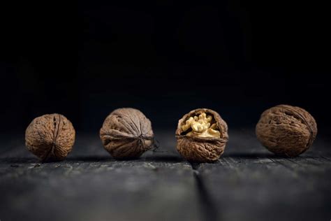 Are Walnuts Good for Your Brain? - Cognitive Health - Erbology