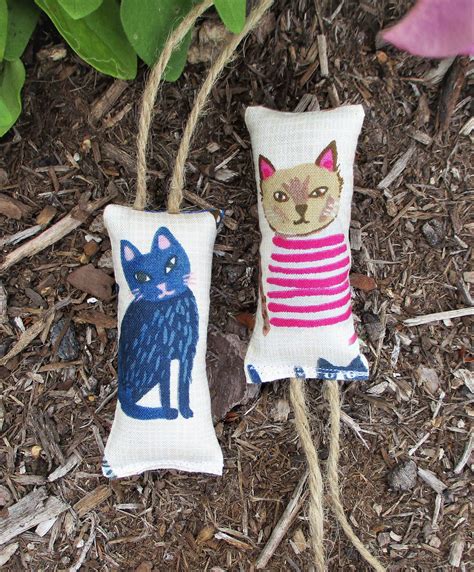 Cool Cat Toys Organic Catnip Toy Set of 2 in 2021 | Cool cat toys ...