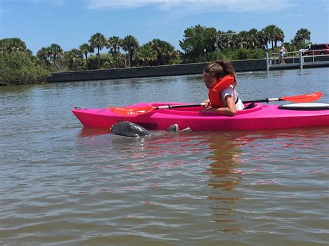 Florida Manatee Kayaking Orlando area | See Florida Manatees Up-close!