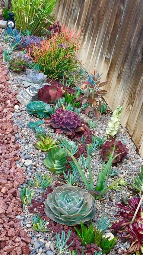 Unique Succulent Garden Ideas For Home Decor | Succulent landscape ...