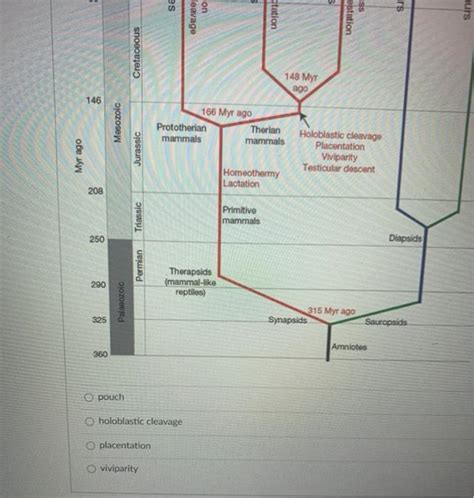 Solved In the following phylogenetic tree, which of the | Chegg.com