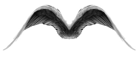 dark angel wings gif | Dark angel wings, Dark angel, Angel wings gif