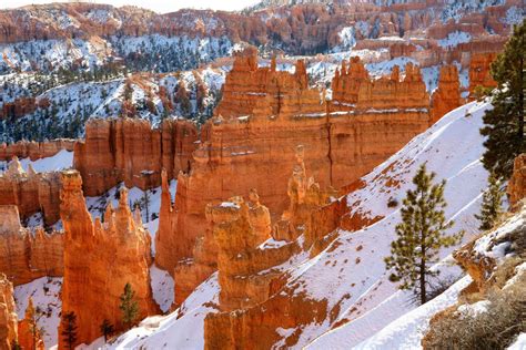 Bryce Canyon Winter Festival | Winter Festival in Bryce Canyon