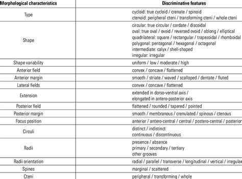 Summary of the morphological characteristics and discriminative... | Download Table